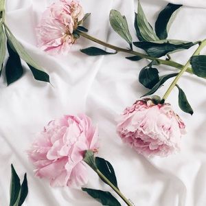 Meet your Posher, Holly